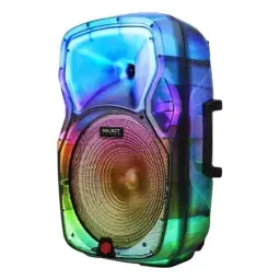 Parlantes y Amplificadores Wiltron
