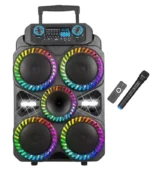 Parlante 15 Pulgadas RGB con Ecualizador Profesional + Micrófono Inalámbrico | Kolav-SY4801