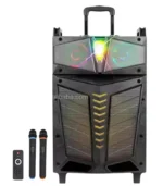 Parlante 15 Pulgadas RGB Amplificado con Ecualizador Profesional + 2 Microfonos Inalambricos | Kolav-A1528